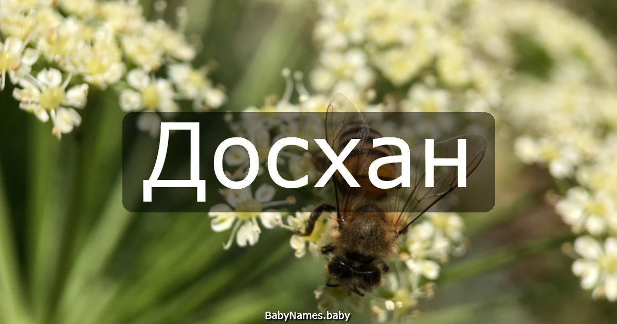 Досхан