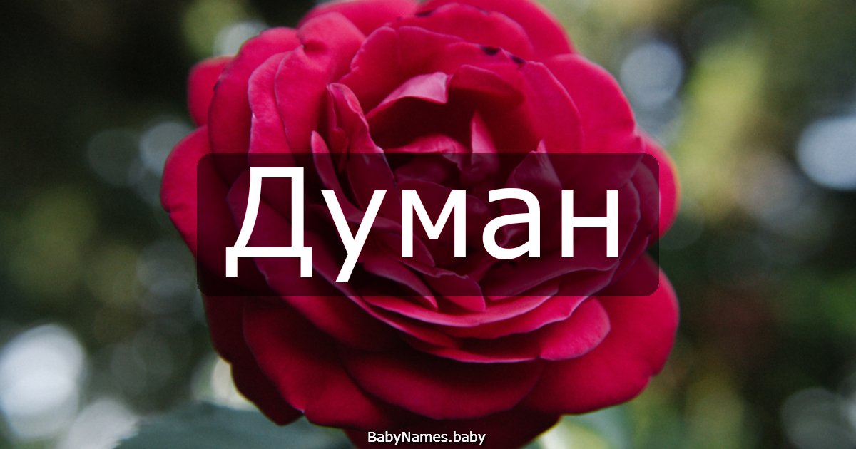 Думан