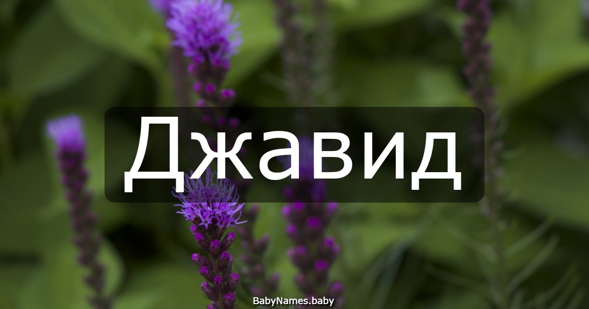 Джавид