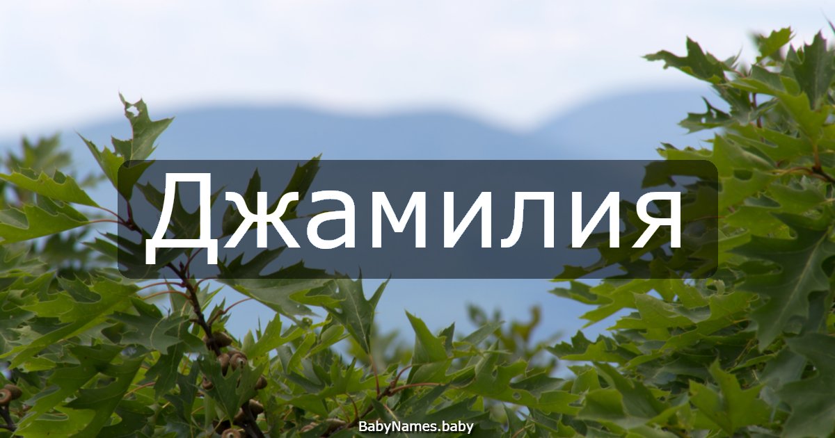 Джамилия