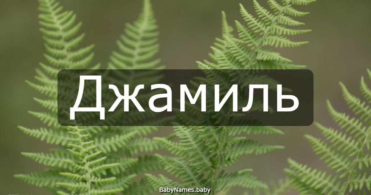 Джамиль