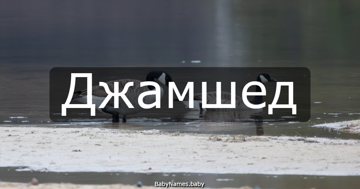 Джамшед