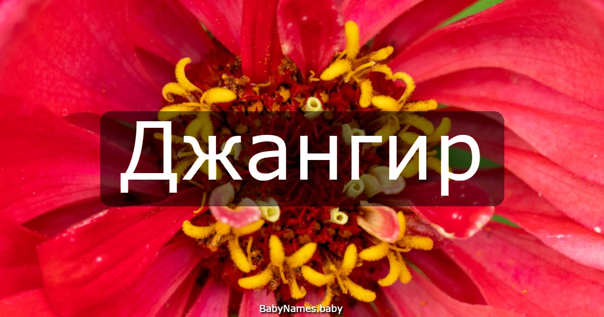 Джангир