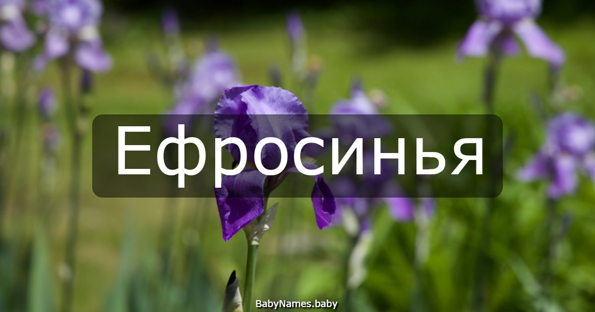Ефросинья