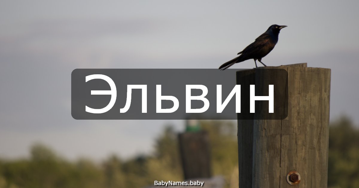 Эльвин