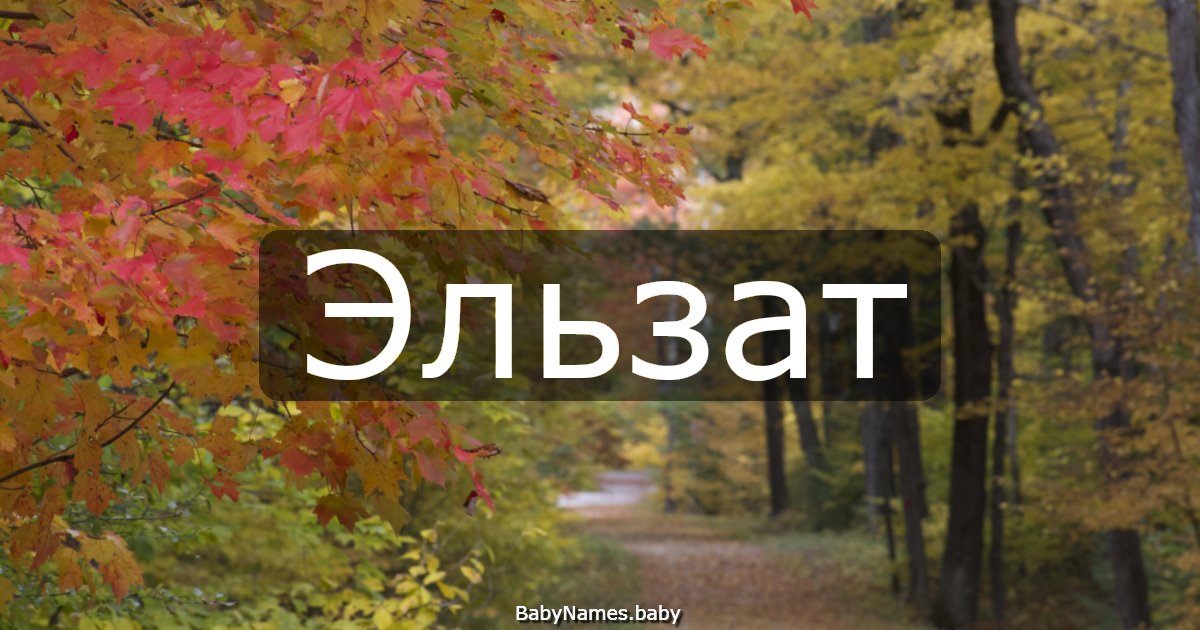 Эльзат