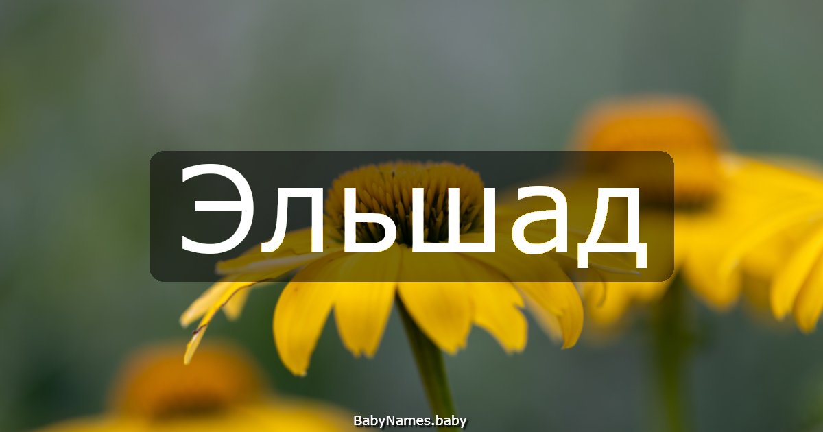 Эльшад