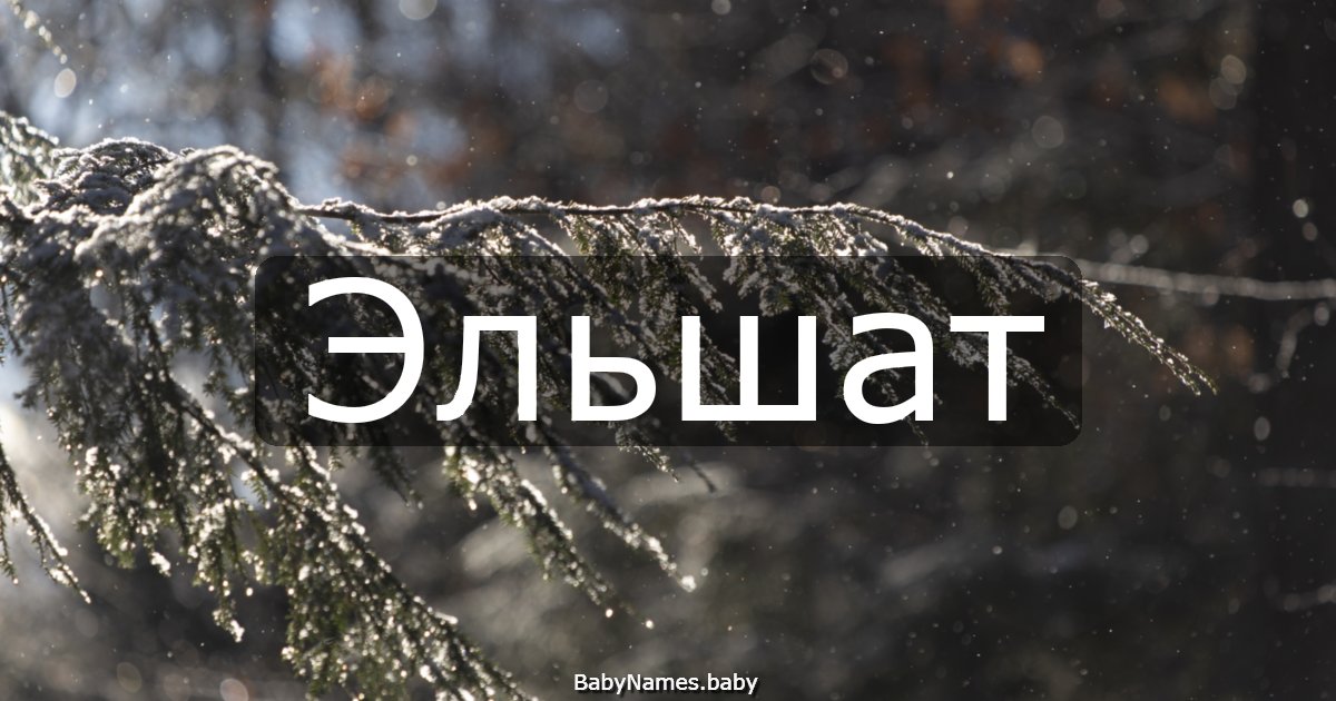 Эльшат