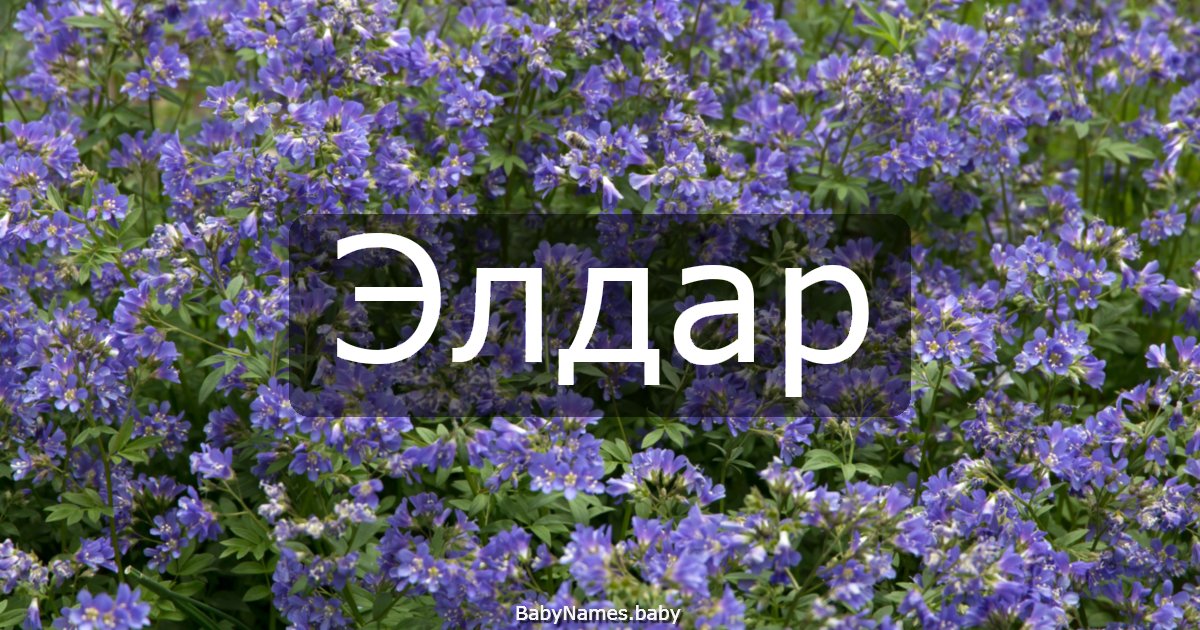 Элдар