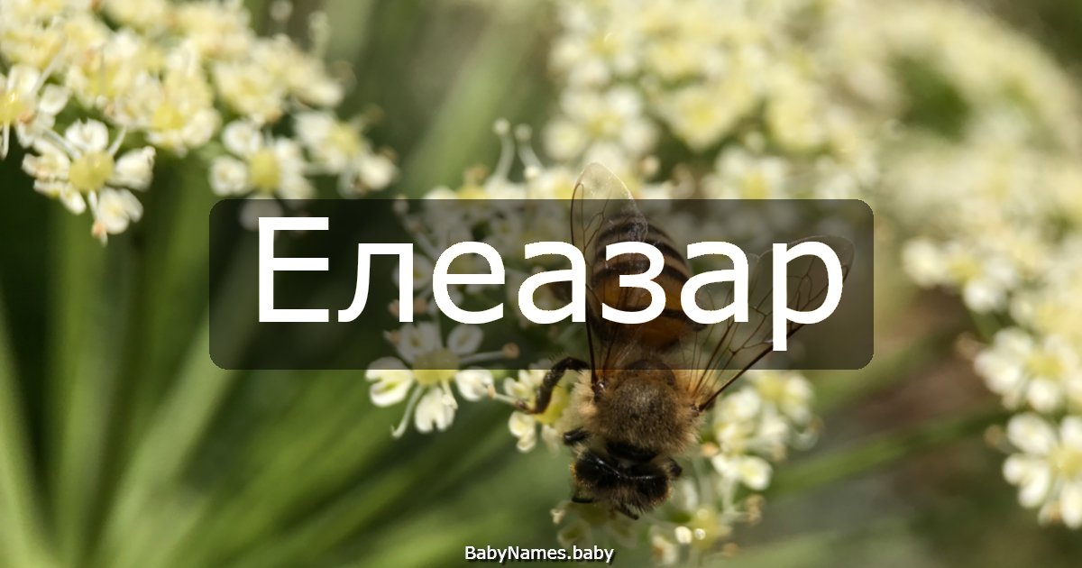 Елеазар
