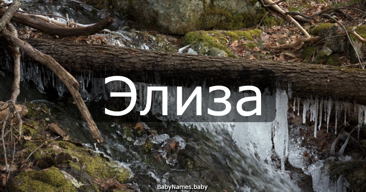 Элиза