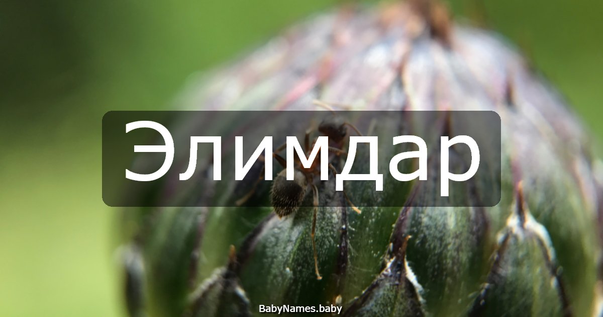 Элимдар