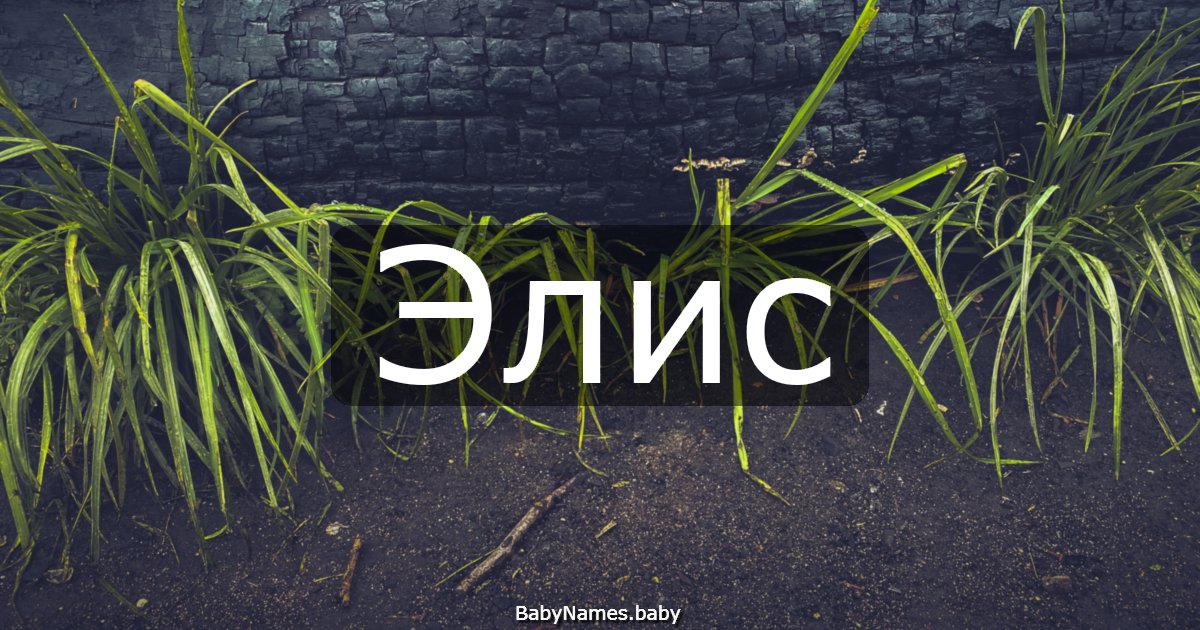 Элис
