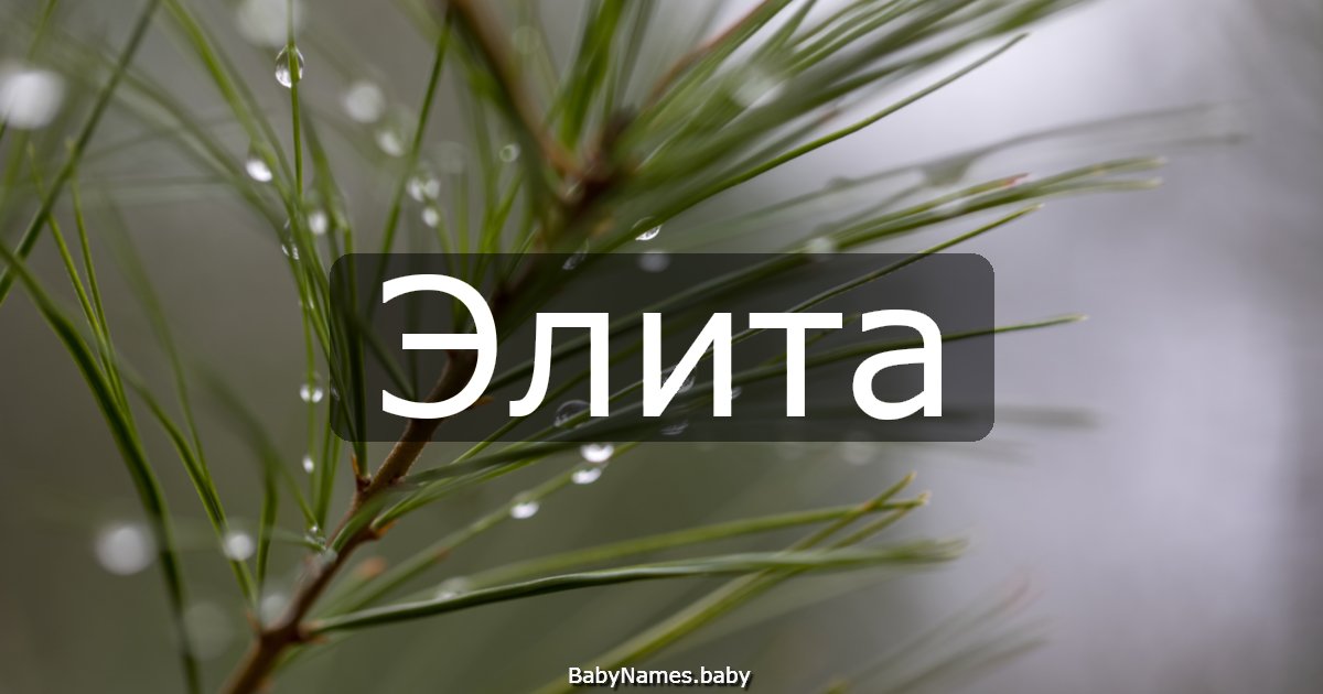 Элита