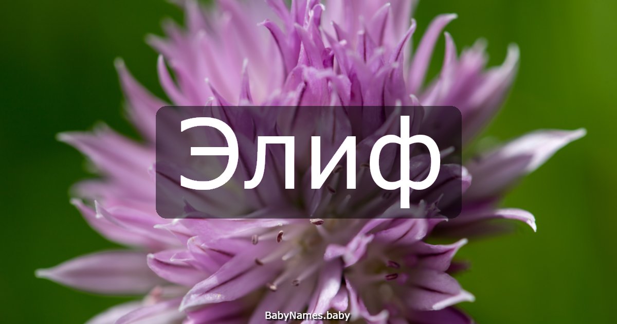 Элиф