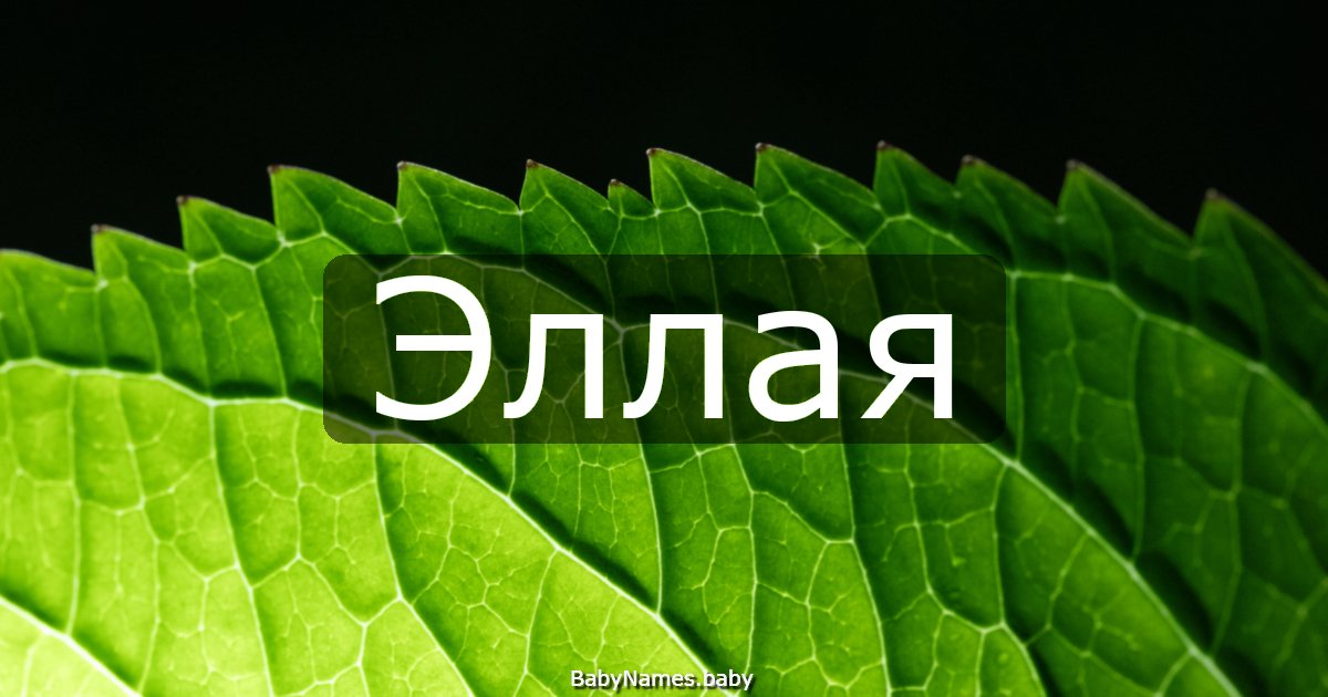 Эллая