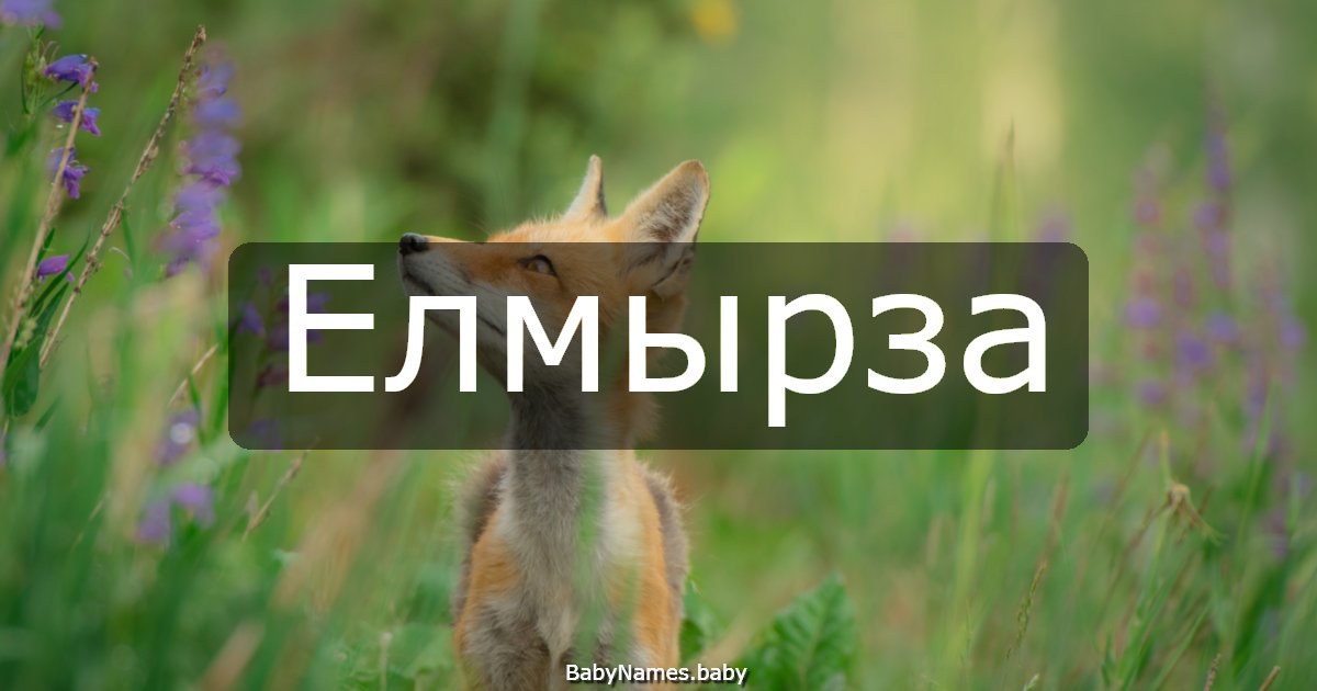 Елмырза