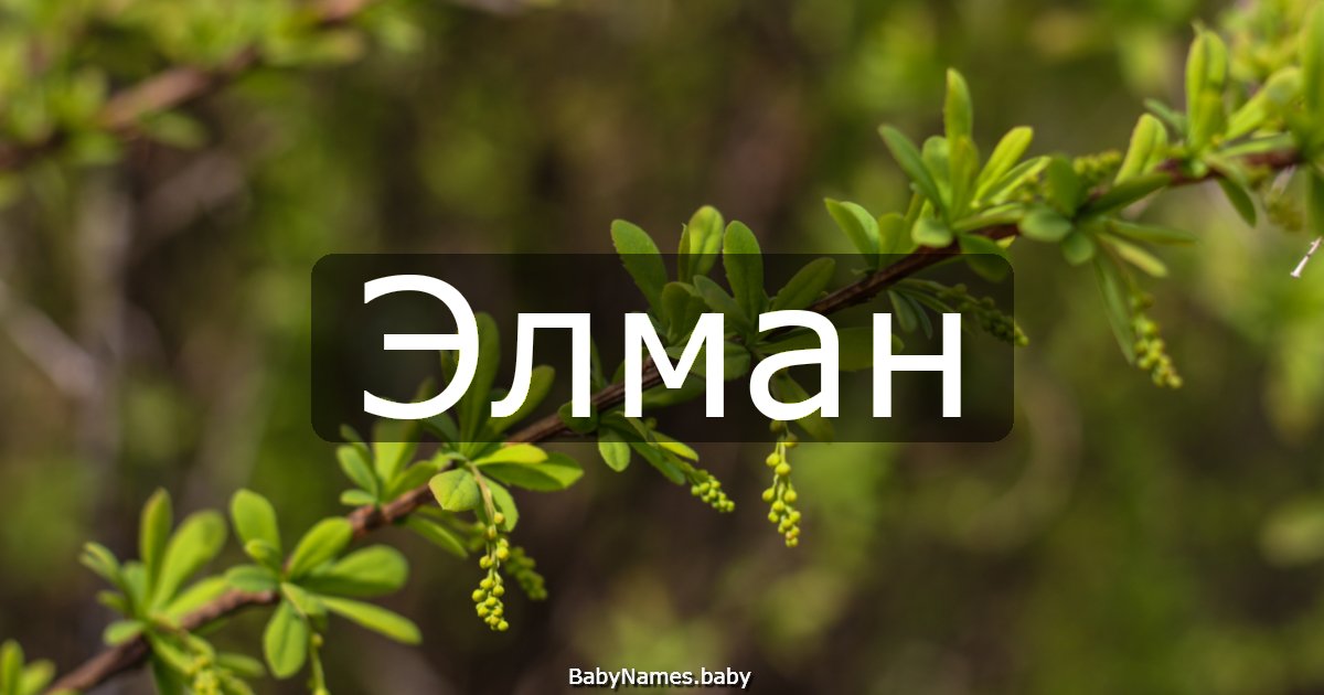 Элман