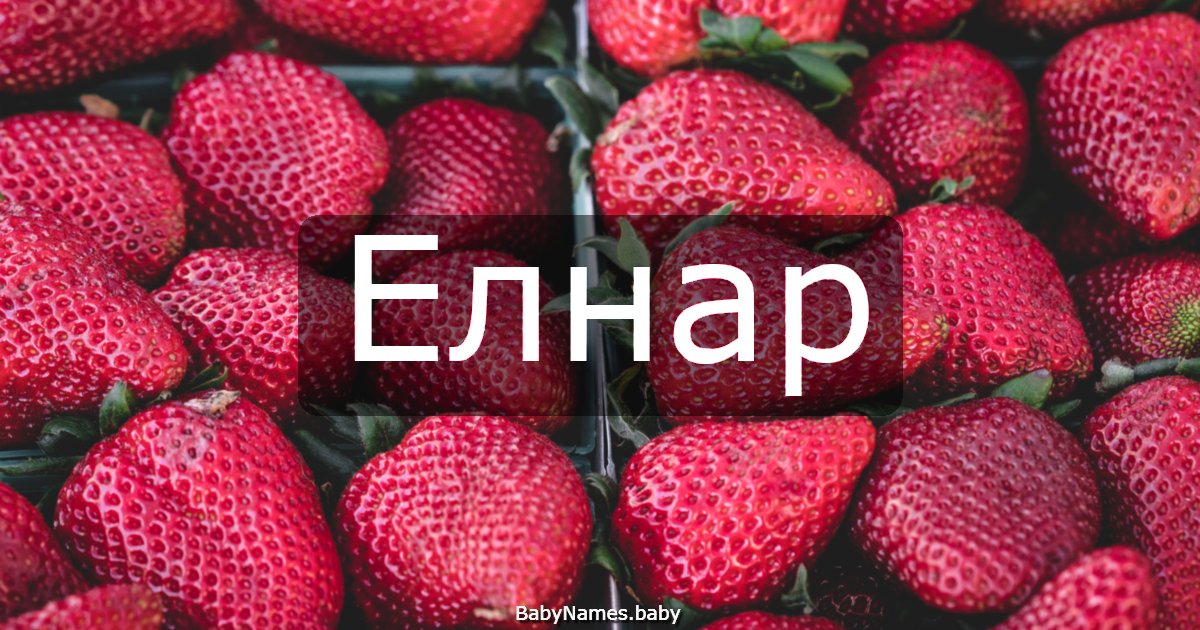 Елнар
