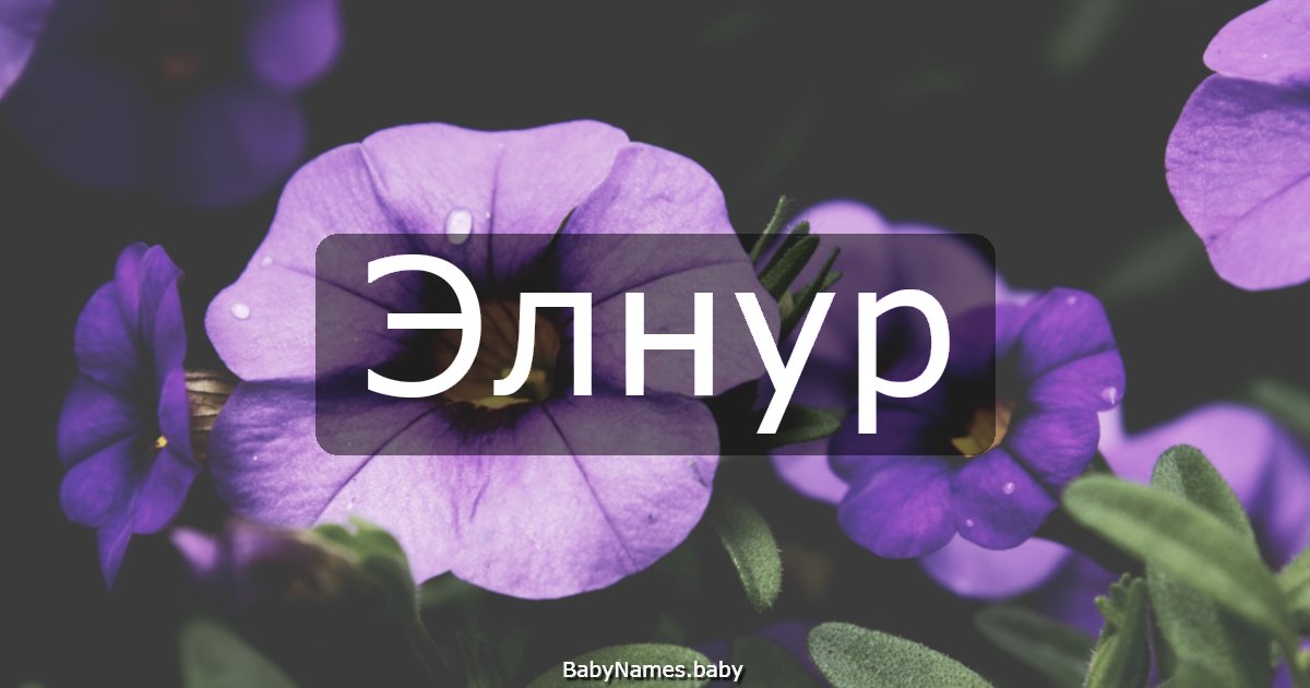 Элнур