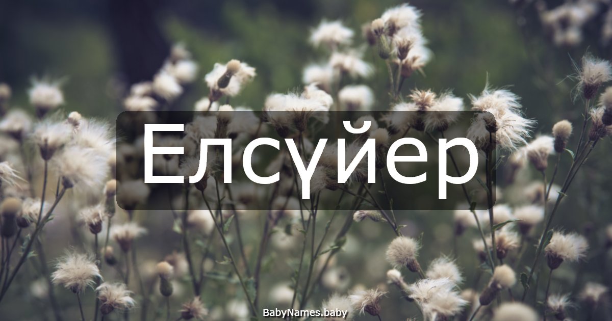 Елсүйер