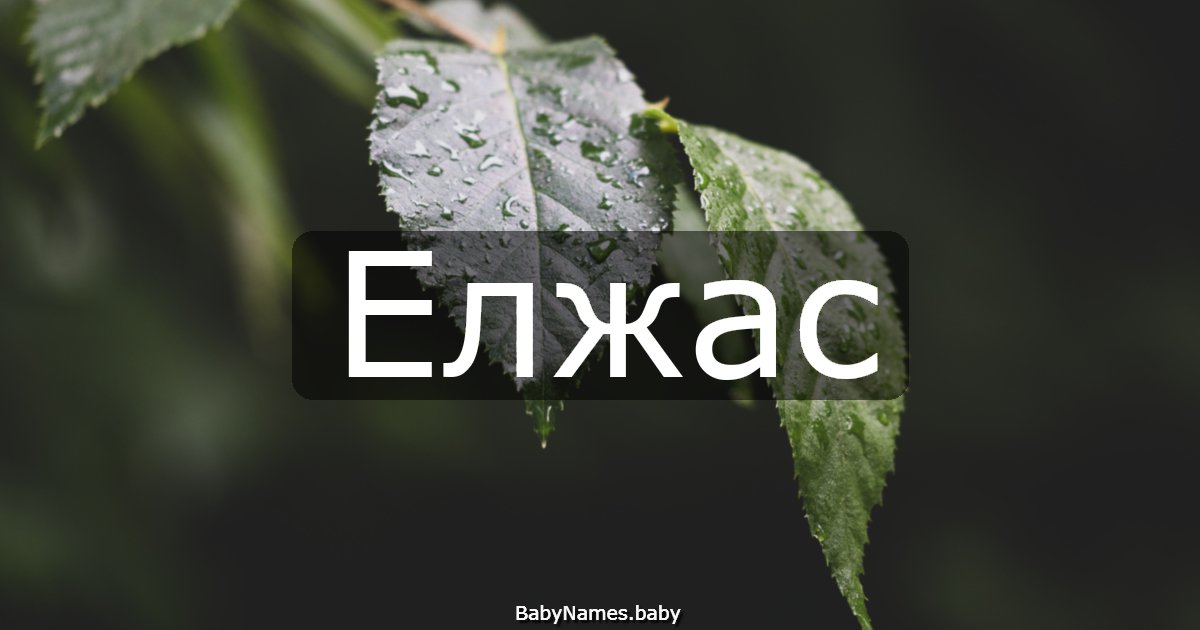 Елжас
