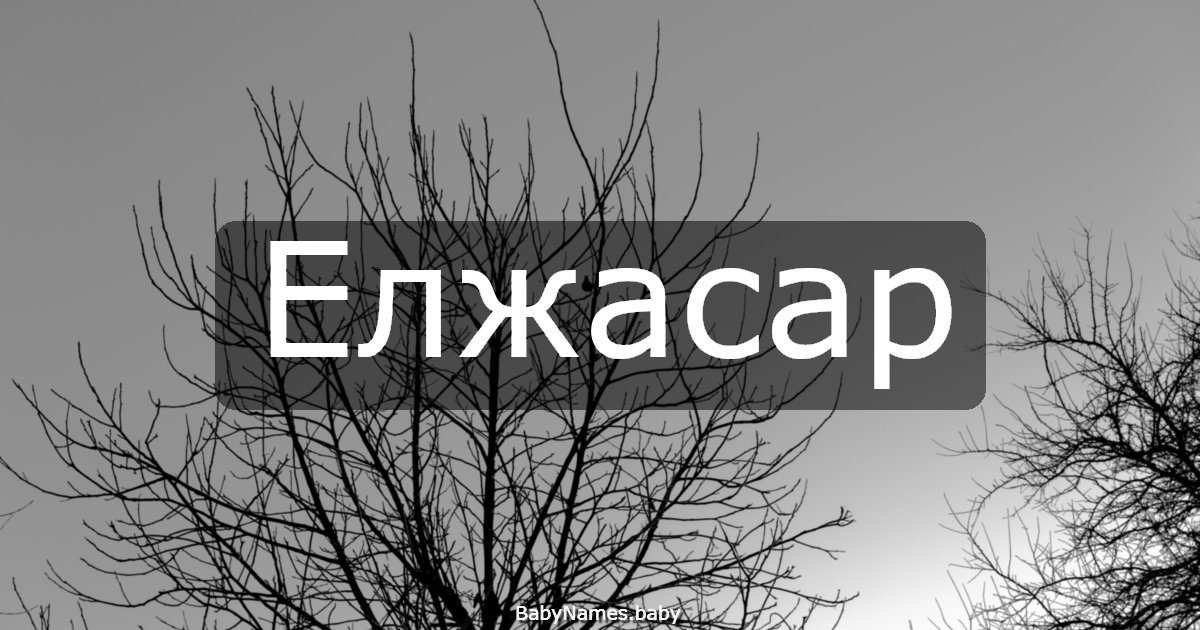 Елжасар