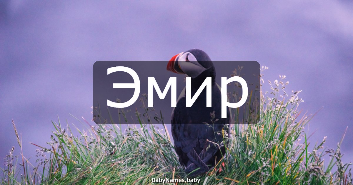 Эмир
