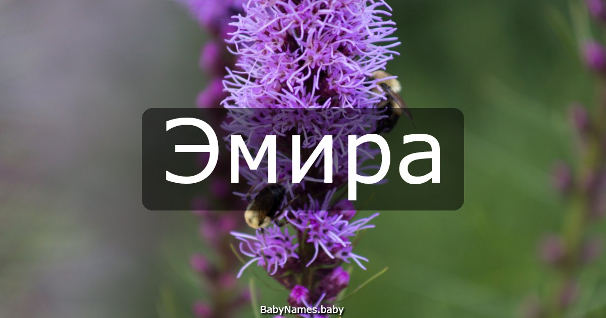 Эмира