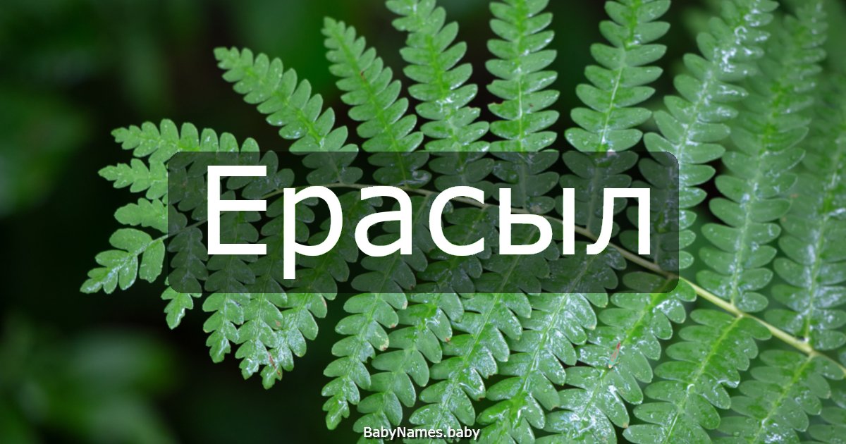 Ерасыл