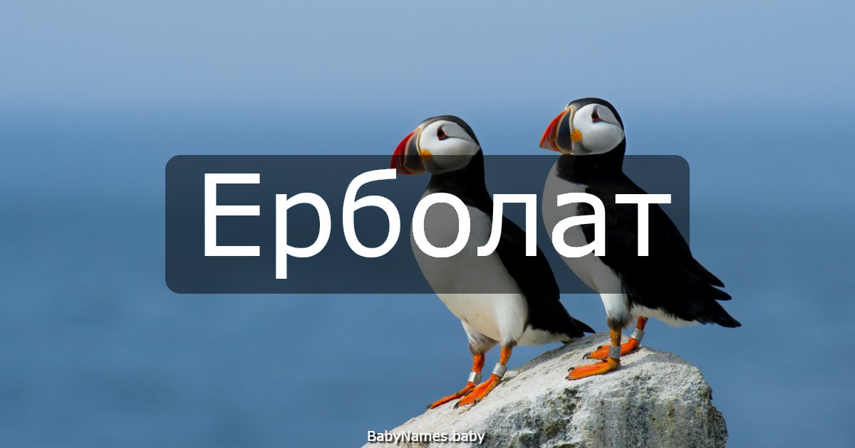 Ерболат