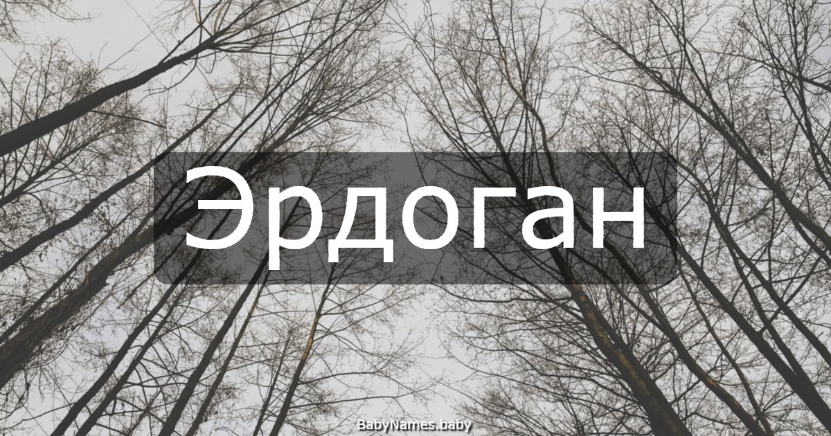 Эрдоган