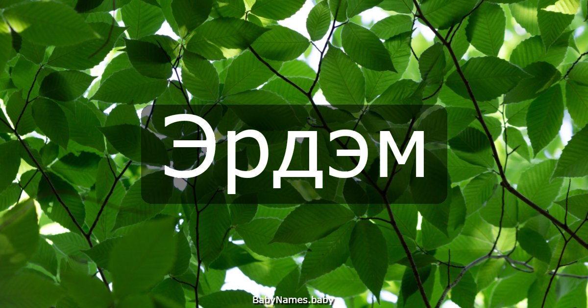 Эрдэм