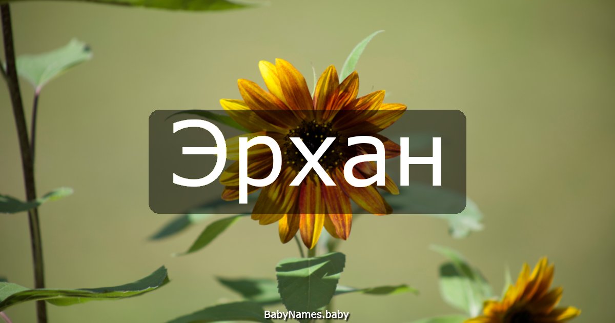 Эрхан