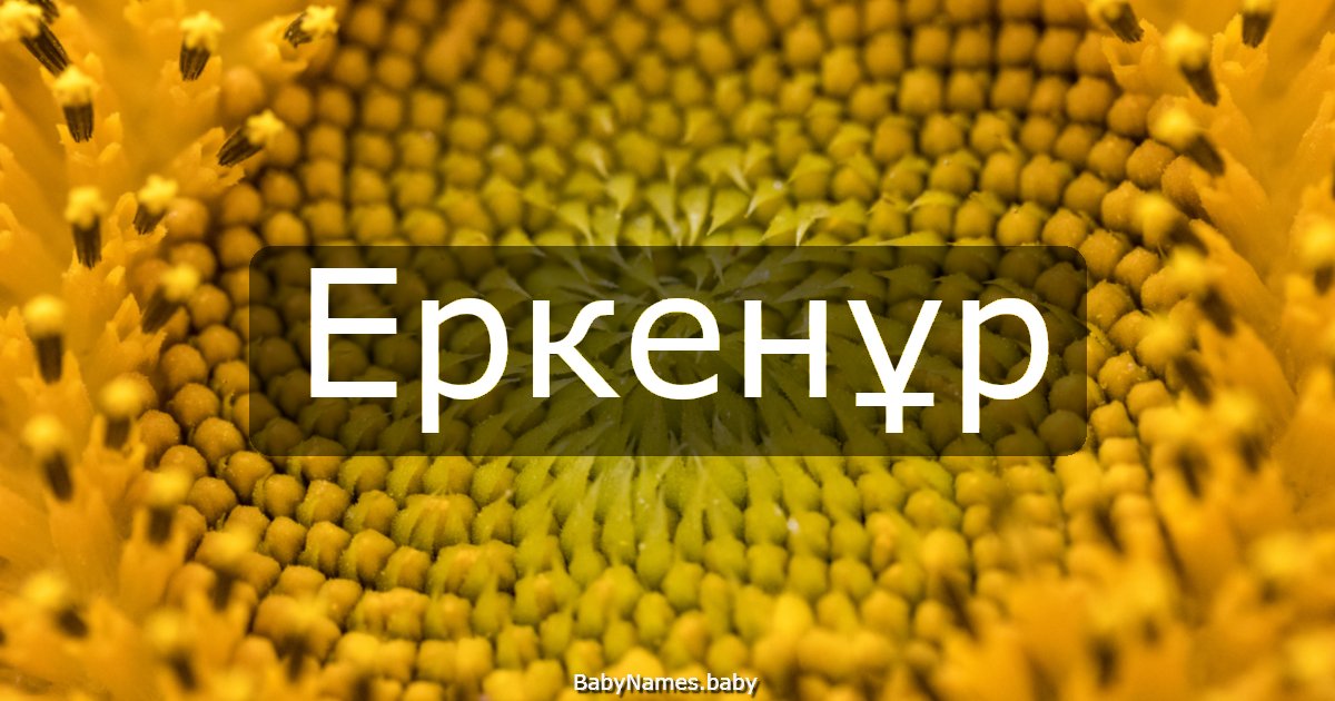 Еркенұр
