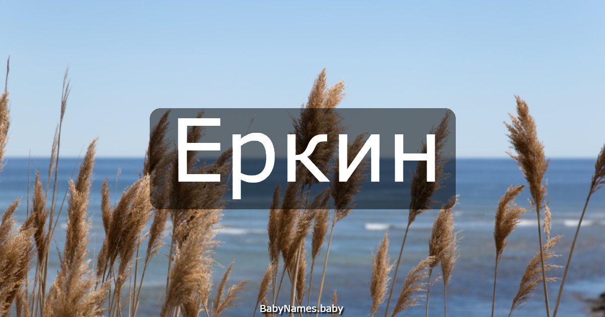 Еркин