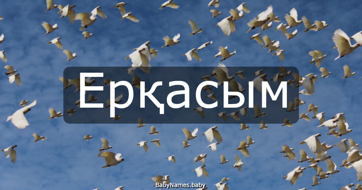 Ерқасым