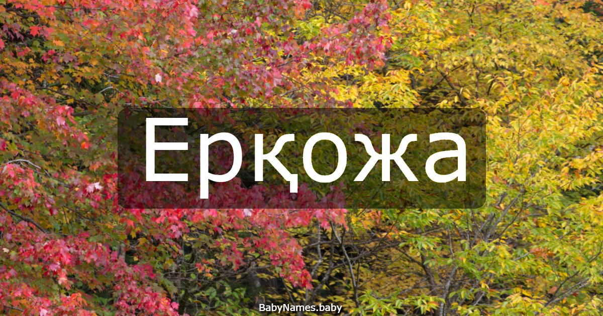 Ерқожа