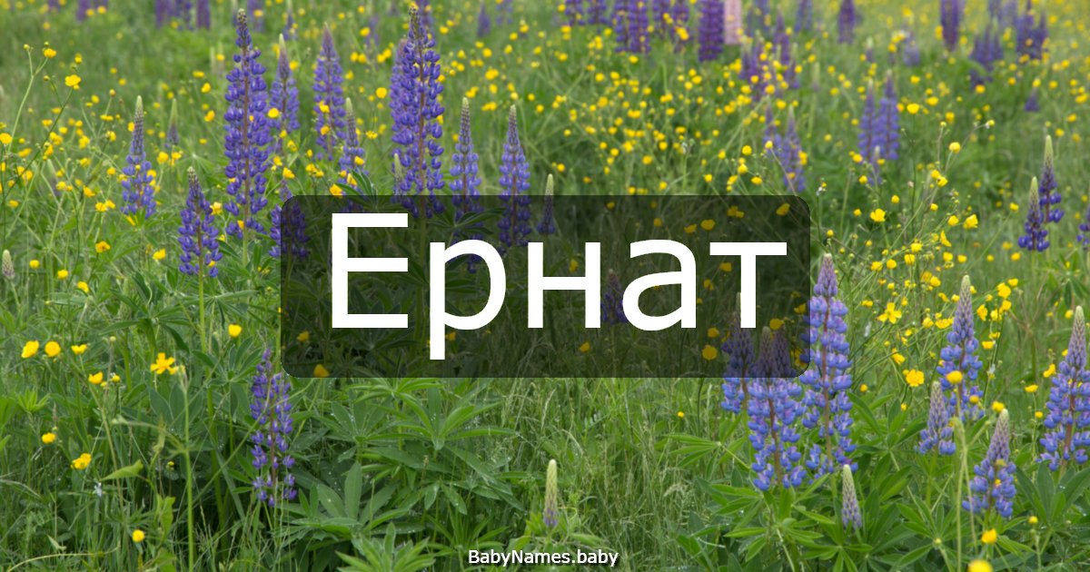 Ернат