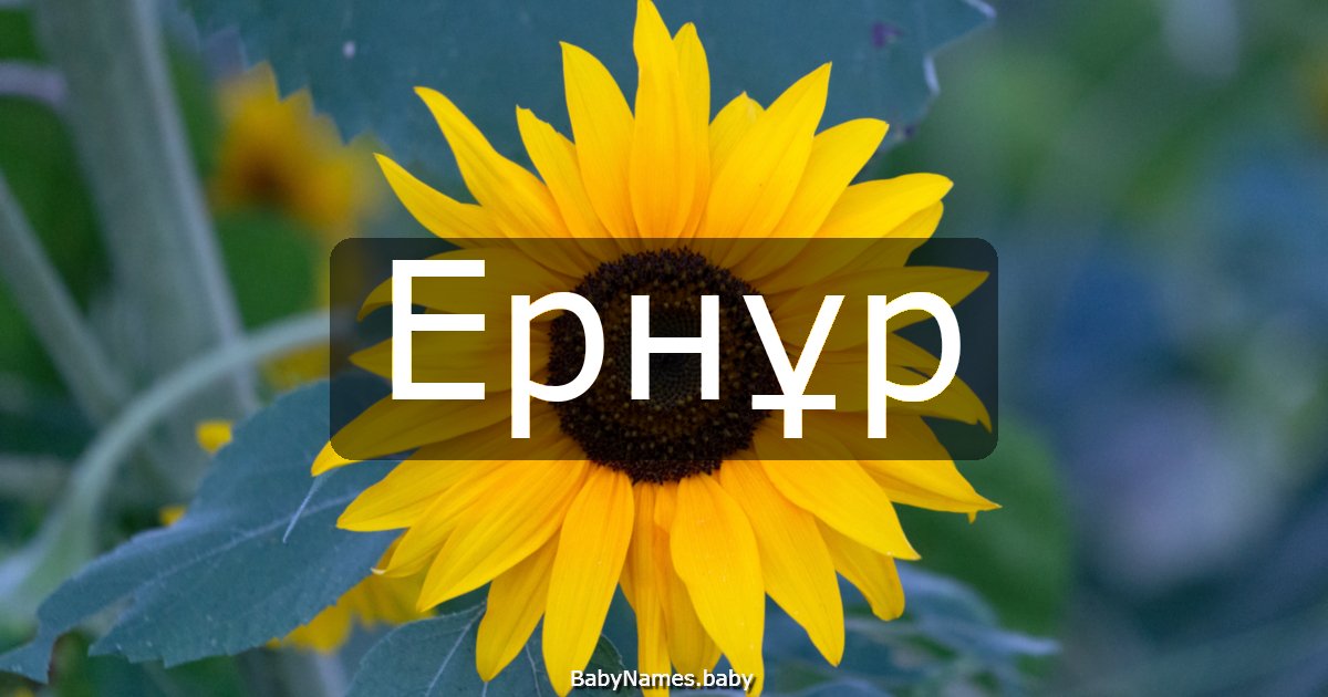 Ернұр