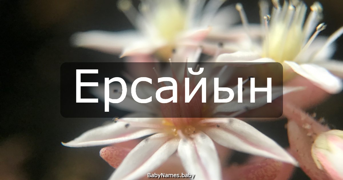 Ерсайын