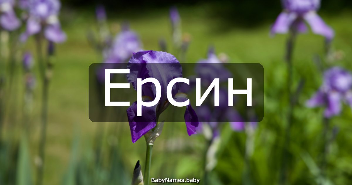 Ерсин
