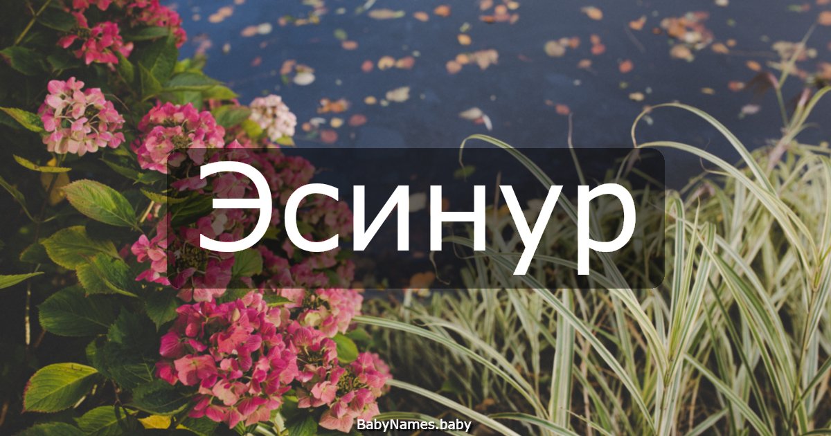 Эсинур