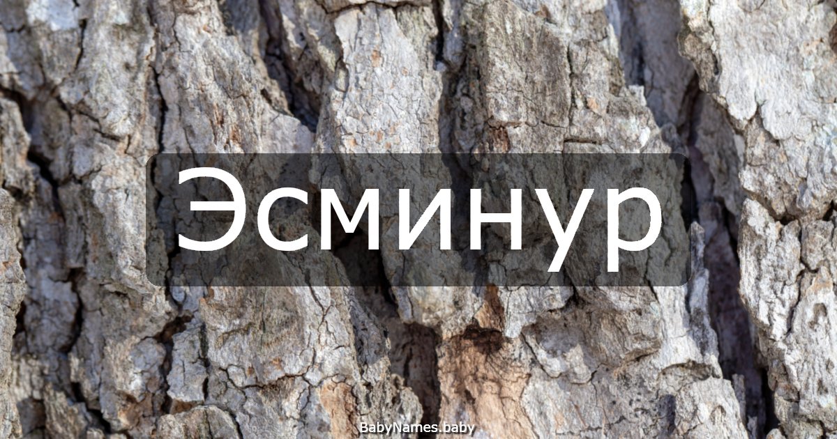 Эсминур