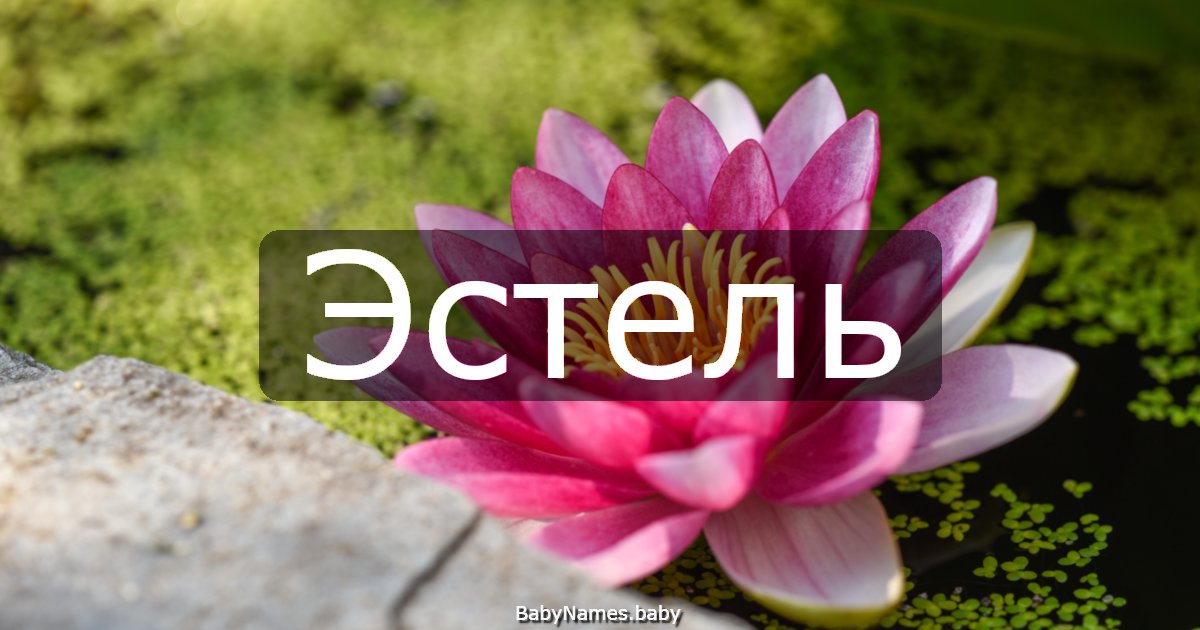 Эстель