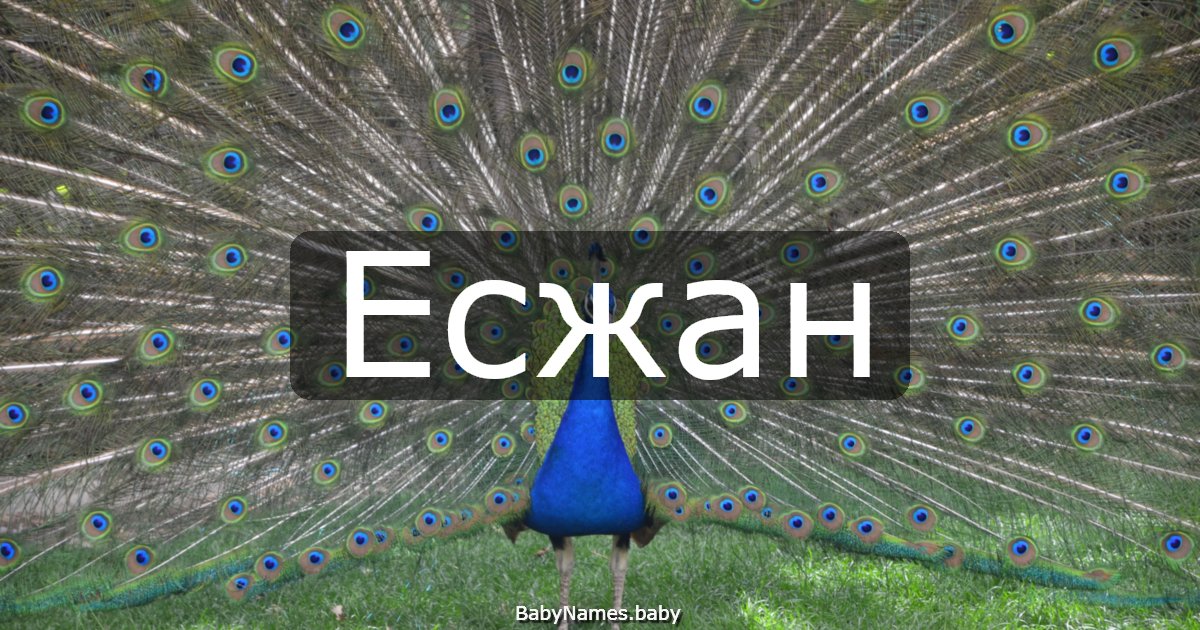 Есжан