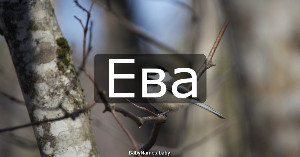 Ева