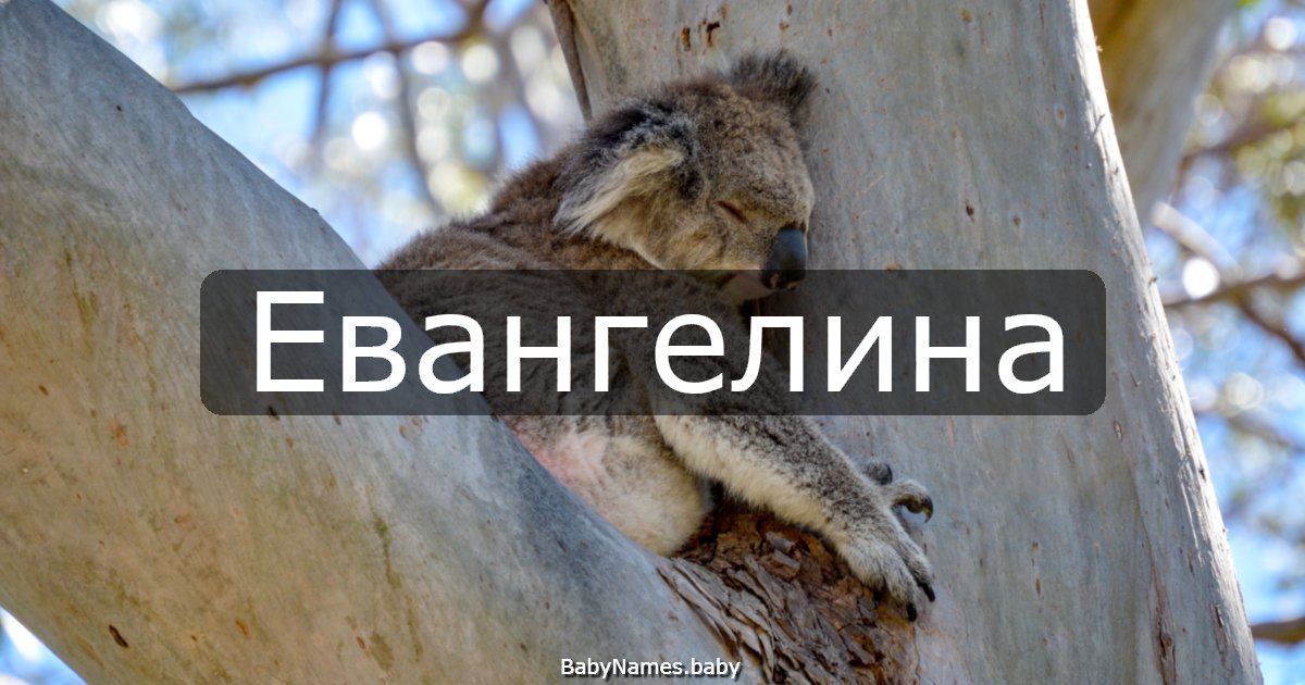 Евангелина
