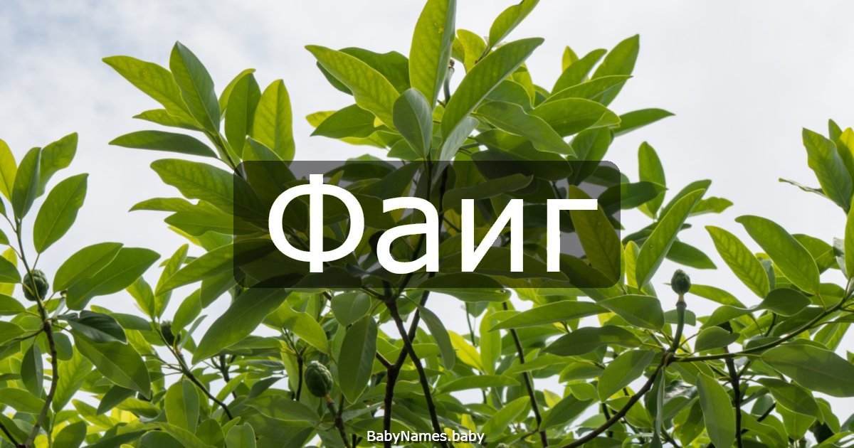 Фаиг