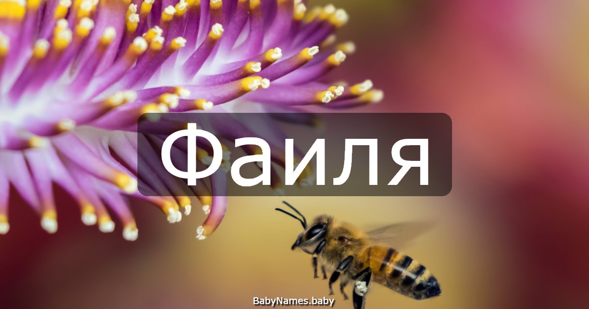 Фаиля